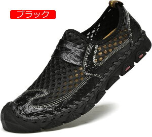 y20%OFFN[|zJV?Xb|?t?bV?T_ hCrOV[Y?X|T ČC JWAV[Y?X|[c?ˊO ʋC h ^?^] 傫TCY O?