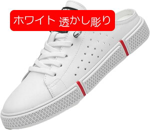 y20%OFFN[|`zXj[J[ Xb| Y y NbOT_ _炩 j {vU[ TCY Ȃ y` ~ JWAC  tbg zCg ʋΒʊw