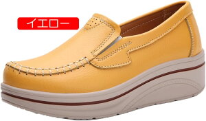 y20%OFFN[|zXb|  fB[X [t@[ ʋC 傫TCY ₷ wlC EH[LOV[Y ɂ  Xj[J[ ₷ o 20 30 40 