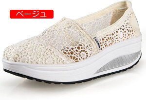 y20%OFFN[|`z[XXb| fB[X [XXj[J[  [Jbg EhgD V[Y C  LL t  ₷  Xb|  XpR[ 