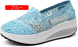 y20%OFFN[|`z[XXb| fB[X [XXj[J[  [Jbg EhgD V[Y C  LL t  ₷  Xb|  XpR[ 