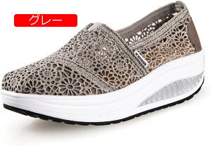 y20%OFFN[|`z[XXb| fB[X [XXj[J[  [Jbg EhgD V[Y C  LL t  ₷  Xb|  XpR[ 