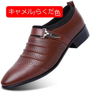 y20%OFFN[|zrWlX V[Y Y C 24.0-27.0cm j Xb| JV \tgC h y h L h~ Ȃ Ռz  tFCNU[ ʋ d JWA