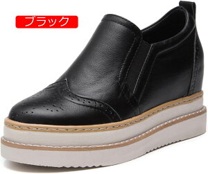 y20%OFFN[|`zXb| Xj[J[  V[Y [Jbg  Cq[  ʋC t ubN zCg ᔽ n  傫TCY i[XV[Y JW