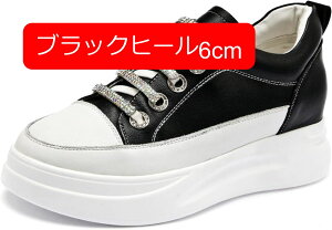 y20%OFFN[|`zXb| fB[X  Xj[J[ ۂ 傫TCY zCg   ubN ₷ V[NbgV[Y [Jbg ؂ y^R rW[ L