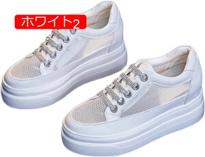 y20%OFFN[|`zXb| fB[X  Xj[J[ ۂ 傫TCY zCg   ubN ₷ V[NbgV[Y [Jbg ؂ y^R rW[ L