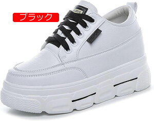 y20%OFFN[|`zfB[X [XAbvXj[J[ Xj[J[ V[NbgV[Y X|[cXj[J[ ^C 8cmq[Abv y r ɂ V[Y [XAb