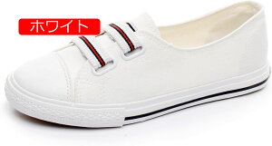 y20%OFFN[|z[t@[ Xb| Xj[J[ fB[XXb| [Jbg EhgD JWAV[Y ʋC XgCv Ȑ    LoX w t wl