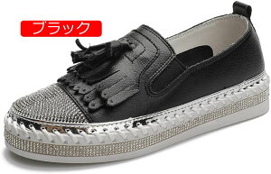 y20%OFFN[|`zfB[X fbLV[Y Xb| Ob^[ LL Vv   ^bZ Xb| Xj[J[Xb|  킢 ʊw fB[XC 