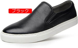 y20%OFFN[|zJWAV[Y Xb| y Xj[J[ Y {v [Jbg JV n _炩 ʋC hCrOV[Y  RtH[g amC EH[LO 