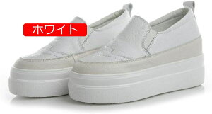 y20%OFFN[|`zXb| fB[X C [JbgtbgV[Y ubN  zCg  O[ Xb| Xj[J[ y 킢  nV[Y p C J