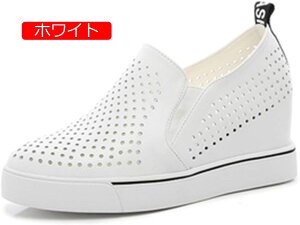 y20%OFFN[|`z傫TCY Xb| Cq[    fB[X Xj[J[ 傫TCY bV R  Cq[Xj[J[ 7cm 7Z` ₷ E₷ ɂ