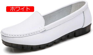 y20%OFFN[|zfB[X JV [t@[ tbgV[Y Xb| }}V[Y RtH[g ʋC JWA t  H hCrOV[Y _炩 ItBX 