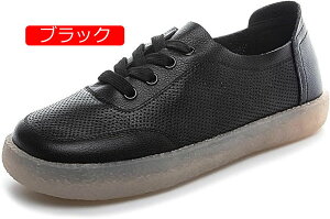 y20%OFFN[|`zfB[X  Xb| RtH[g Xj[J[ JWA t ؂ tbgV[Y   [Jbg [XAbvV[Y ₷ ~ ʊw 