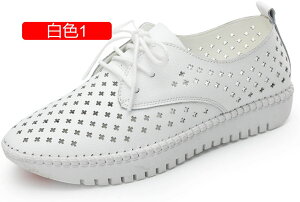 y20%OFFN[|z[t@[ fB[X pvX [q[ ؂ _炩 ₷ JV }}V[Y EhgD L b bV ʋC RtH[g T_ EH[