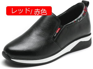 y20%OFFN[|`zXj[J[ JWAV[Y fB[X C Xb| wlC i[XV[Y RtH[g ؂ vbgV[Y d Ȃ L b ̌C ʊw 