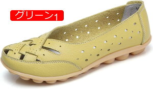 y20%OFFN[|zfB[XJV ʋC puU[ oGV[Y hCrOV[Y fB[X RtH[g ₷ mC JWA ʊw ʋ }}V[Y 