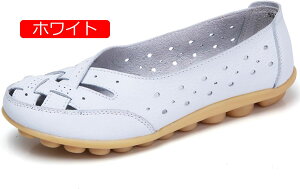 y20%OFFN[|zfB[XJV ʋC puU[ oGV[Y hCrOV[Y fB[X RtH[g ₷ mC JWA ʊw ʋ }}V[Y 
