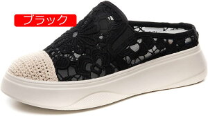 y20%OFFN[|`zXb| T_ Xj[J[ fB[X  JWAV[Y EFbW\[ Ȃ ₷ ɂȂ V[Y ʊw ʋC ʋ ԕ bV 