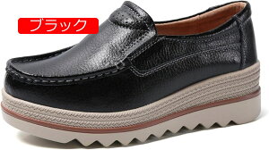 y20%OFFN[|zXb| fB[X  JV  V[Y i[XV[Y [t@[ Xb| Xj[J[ T_ [Jbg JWA C ʋ ʊw  TC