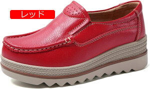y20%OFFN[|zXb| fB[X  JV  V[Y i[XV[Y [t@[ Xb| Xj[J[ T_ [Jbg JWA C ʋ ʊw  TC