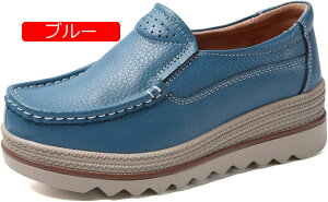 y20%OFFN[|zXb| fB[X  JV  V[Y i[XV[Y [t@[ Xb| Xj[J[ T_ [Jbg JWA C ʋ ʊw  TC