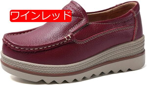 y20%OFFN[|zXb| fB[X  JV  V[Y i[XV[Y [t@[ Xb| Xj[J[ T_ [Jbg JWA C ʋ ʊw  TC