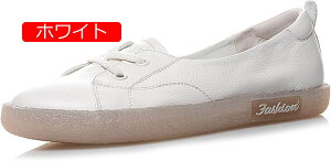 y20%OFFN[|`ztbgV[Y fB[X Xb| dp d C pvX Ȃ [q[ ɂȂ ؂ ₷  _炩 傫TCY tbg  