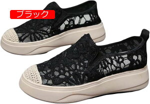 y20%OFFN[|`zXb| fB[X fC[V[Y [X ҂ ăV[Y  ʋC ɂ y ȃv[g JWA tďH d 