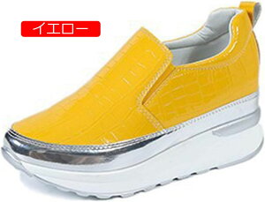 y20%OFFN[|`zXb| [fBX  NR^ Xj[J[ r JWAV[Y 傫TCY    ₷ TCY [q[ tbg Ȃ Xb|