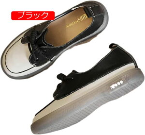 y20%OFFN[|`z Xb|  y fB[X C  Xj[J[ ₷ r Ȃ [Jbg Xb| JWA t EH[LO V[Y Xj[J