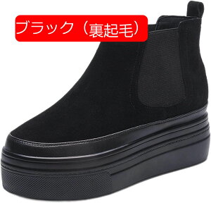 y20%OFFN[|`zU[ V[gu[c  `FV[u[c XG[h fB[Xu[c {v vC TChSA  tbg C\[ ~H EhgD ANu[c 풅 h