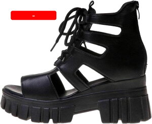 y20%OFFN[|`z8cmq[ T}[u[c Cq[ fB[X EFbW ҂ݏグ T_u[c [}I[vgD  [XAbv obNWbp[  h V[gu[c 