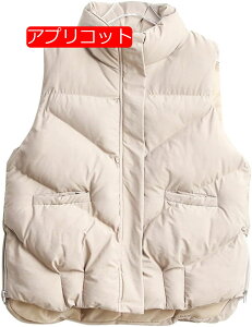 _ExXg _ER[g fB[X _EWPbg V[g  y  傫TCY nClbN Wbp[ _E  |Pbgt ӂ Ȃ EH[  h