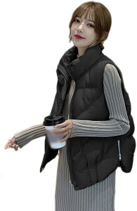 _ExXg _ER[g fB[X _EWPbg V[g  y  傫TCY nClbN Wbp[ _E  |Pbgt ӂ Ȃ EH[  h