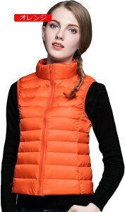 Ci[_E _ExXg fB[X y RpNg [ܕt Ci[_ExXg fB[X AE^[ WbvAbv  y AEghA ނ St Lv   lC