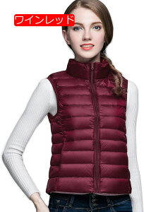 Ci[_E _ExXg fB[X y RpNg [ܕt Ci[_ExXg fB[X AE^[ WbvAbv  y AEghA ނ St Lv   lC