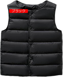 _ExXg H~xXg Ci[ OJ  AE^[ 㒅 q LbY WjA JWA  Vv Ci[ n CgEGCg ܂킵  h 