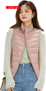 _ExXg fB[X  tH~  V[g  h h g AE^[   ꂢ  ʊw ʋ AEghA 傫TCY n EgCg _E