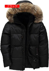 H~ Y _EWPbg t@[t[ht AE^[ V[g  h u] tFU[ ۉ  _ER[g JWA AEghA ig ʋ gbvX jp