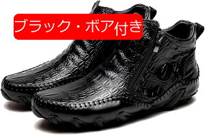 Y V[gu[c U[ [Jbg NR_C 傫TCY TChWbv {v [Nu[c H ~ EhgD I[goCu[c {At L hCrOV[Y 