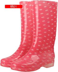 Cu[c JC fB[X Sh O ؍  hbg Xm[t[N CV[Y ~J΍ K ʋ ʊw Ԍ J o[u[c JWA t J̓ 