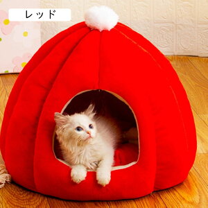 ybgxbh  L xbh h[^ ybgnEX ~ 2way ybg\t@[ h[^xbh ybgNbV ~pxbh 􂦂 ʔN ӂӂ 킢 ^/Lp ybgpi 