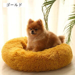 ybgxbh ybgNbV sN ybg}bg ybg\t@ h[ic^ Eh L  xbh 薰 60CM ӂӂ  킢 g ~ h ΍ g