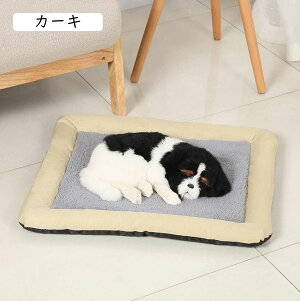 J[L ybgxbh  L xbh NbV ~p ybg\t@[ 􂦂 ~ 킢   薰 h h ~ Lp 71*81cm ʔN ē~p 