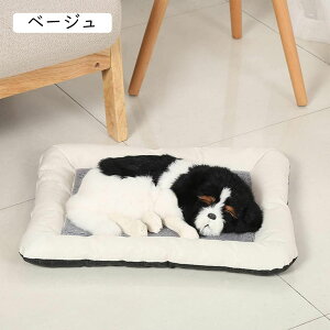 J[L ybgxbh  L xbh NbV ~p ybg\t@[ 􂦂 ~ 킢   薰 h h ~ Lp 71*81cm ʔN ē~p 