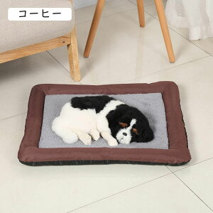 J[L ybgxbh  L xbh NbV ~p ybg\t@[ 􂦂 ~ 킢   薰 h h ~ Lp 71*81cm ʔN ē~p 