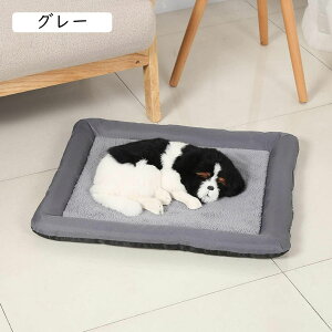 J[L ybgxbh  L xbh NbV ~p ybg\t@[ 􂦂 ~ 킢   薰 h h ~ Lp 71*81cm ʔN ē~p 