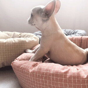  L xbh  ybgxbh ӂӂ I[V[Y ^ ^ bh L L ybgp xbh NbV ėp ObY Lp p ybgG k ې ybg\t@[ Lxb