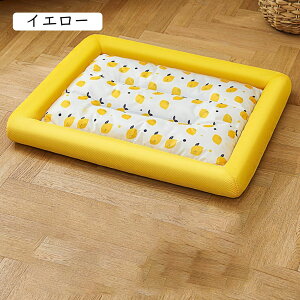 ^xbh p\t@[xbh ybgxbh ybgNbV 􂦂 ^ sN ^ ~ ėpxbh I[V[Y  ~ ` pi ^h~ h v M 傫 2wa